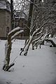 tannenfeld-winter-058