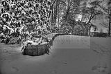 tannenfeld-winter-063