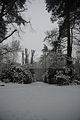 tannenfeld-winter-066