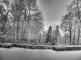 tannenfeld-winter-075