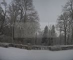 tannenfeld-winter-076