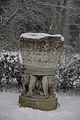 tannenfeld-winter-078