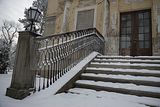 tannenfeld-winter-083