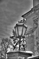 tannenfeld-winter-084