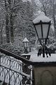 tannenfeld-winter-089