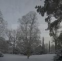 tannenfeld-winter-096