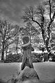 tannenfeld-winter-099