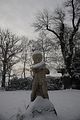 tannenfeld-winter-100