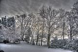 tannenfeld-winter-103