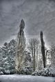 tannenfeld-winter-105
