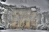 tannenfeld-winter-109