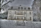 tannenfeld-winter-113