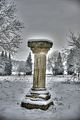 tannenfeld-winter-115