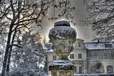 tannenfeld-winter-123
