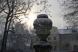 tannenfeld-winter-124