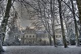 tannenfeld-winter-125