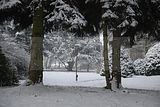 tannenfeld-winter-130