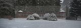 tannenfeld-winter-132