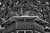 tannenfeld-winter-133