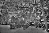 tannenfeld-winter-135