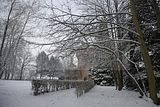 tannenfeld-winter-136