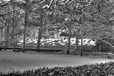 tannenfeld-winter-139