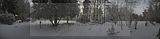 tannenfeld-winter-142