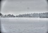 tannenfeld-winter-145