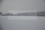 tannenfeld-winter-146