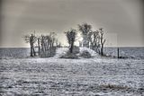 tannenfeld-winter-150