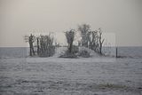 tannenfeld-winter-151