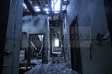 wf_005