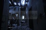 wf_006
