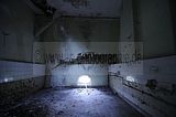 wf_008