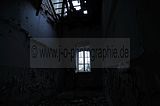 wf_009