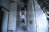 wf_013