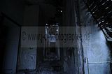 wf_014