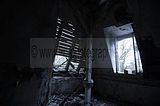 wf_022