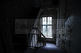 wf_025