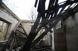 wf_041