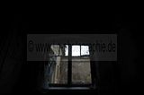 wf_069