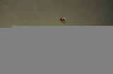 gera-am-wintergarten-07-2012-026