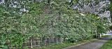 gera-wintergarten-07-2012-002