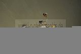 gera-wintergarten-07-2012-027