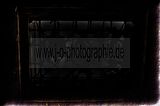 gera-wintergarten-07-2012-065