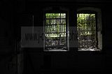 gera-wintergarten-07-2012-093