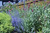 bad_langensalza_apotherkergarten_apothekermuseum_07_2017_11