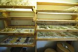 bad_langensalza_apotherkergarten_apothekermuseum_07_2017_15