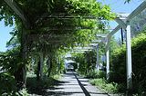 bad_langensalza_botanischer_garten_07_2017_13