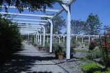 bad_langensalza_botanischer_garten_07_2017_14